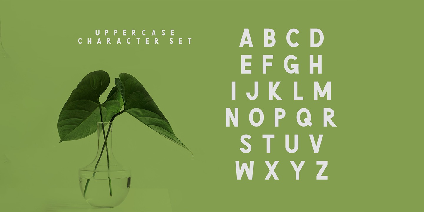 Пример шрифта Green Narcu Regular